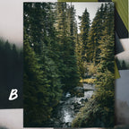 Mount Rainier National Park: April 2026
