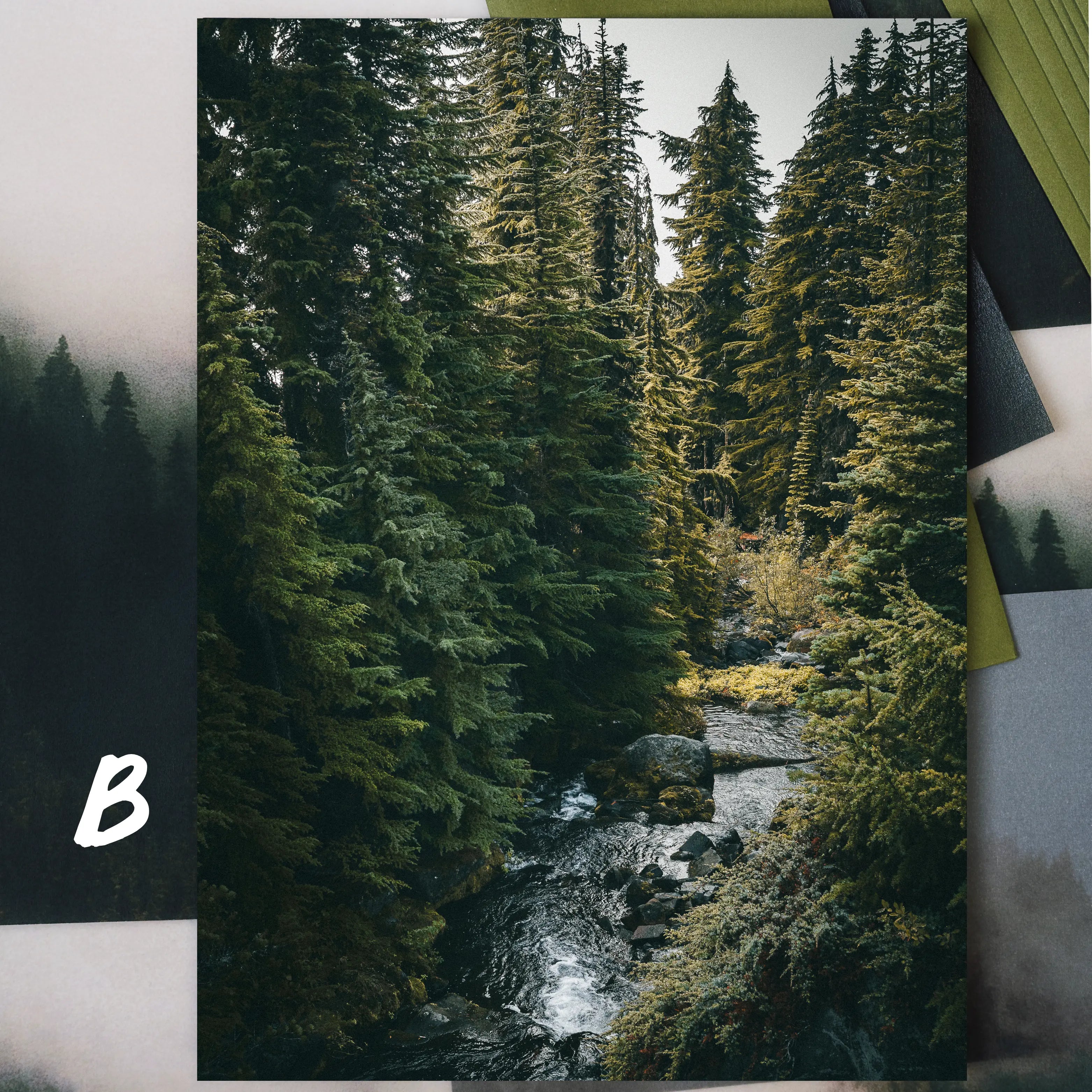 Mount Rainier National Park: April 2026