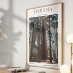 Sequoia National Park Poster