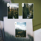 Mount Rainier National Park: April 2026