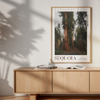 Sequoia National Park Poster