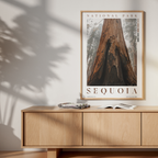 Sequoia National Park Poster
