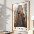 Sequoia National Park Poster