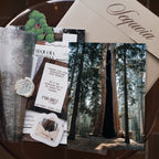 Sequoia National Park: March 2026