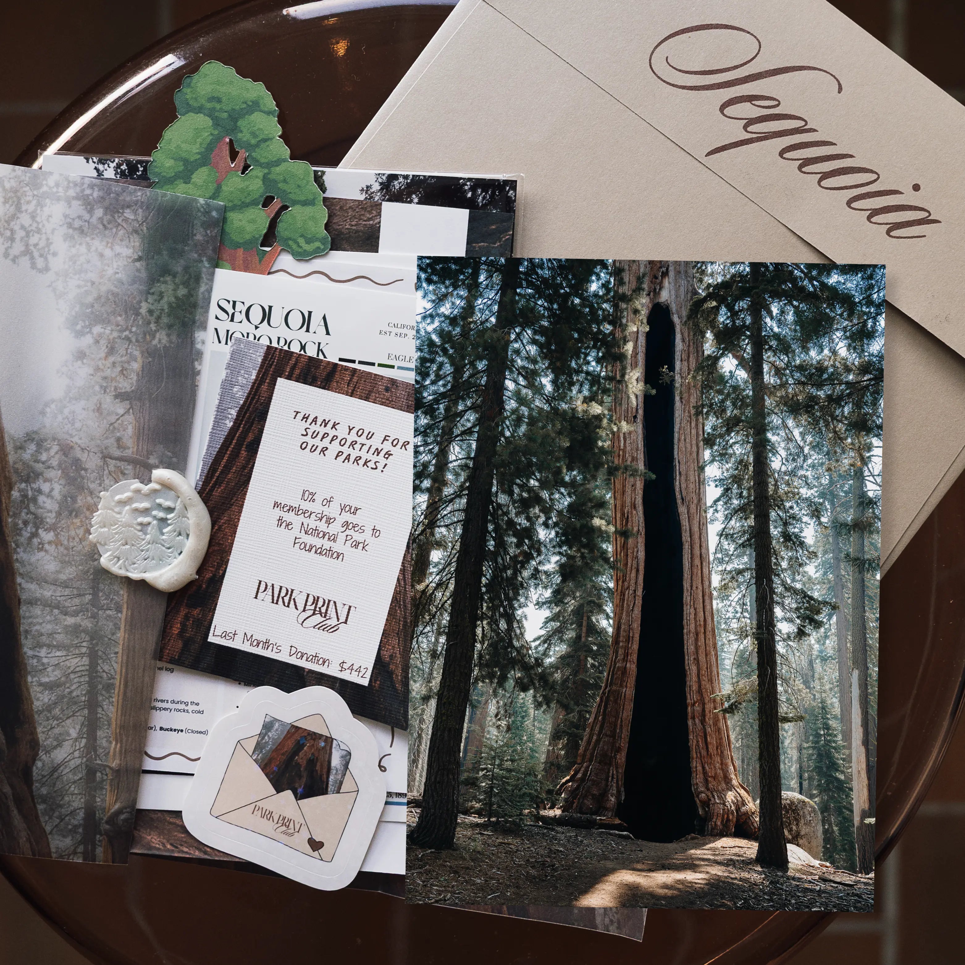 Sequoia National Park: March 2026
