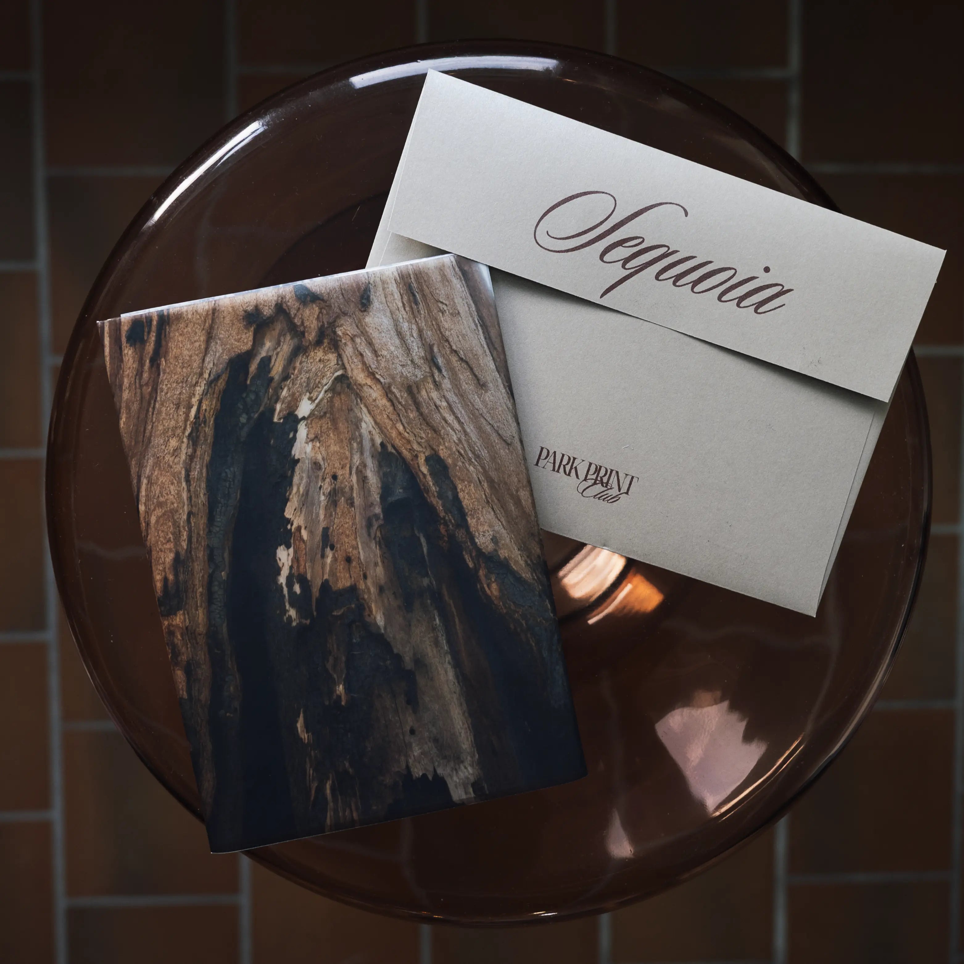 Sequoia National Park: March 2026