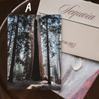 Sequoia National Park: March 2026