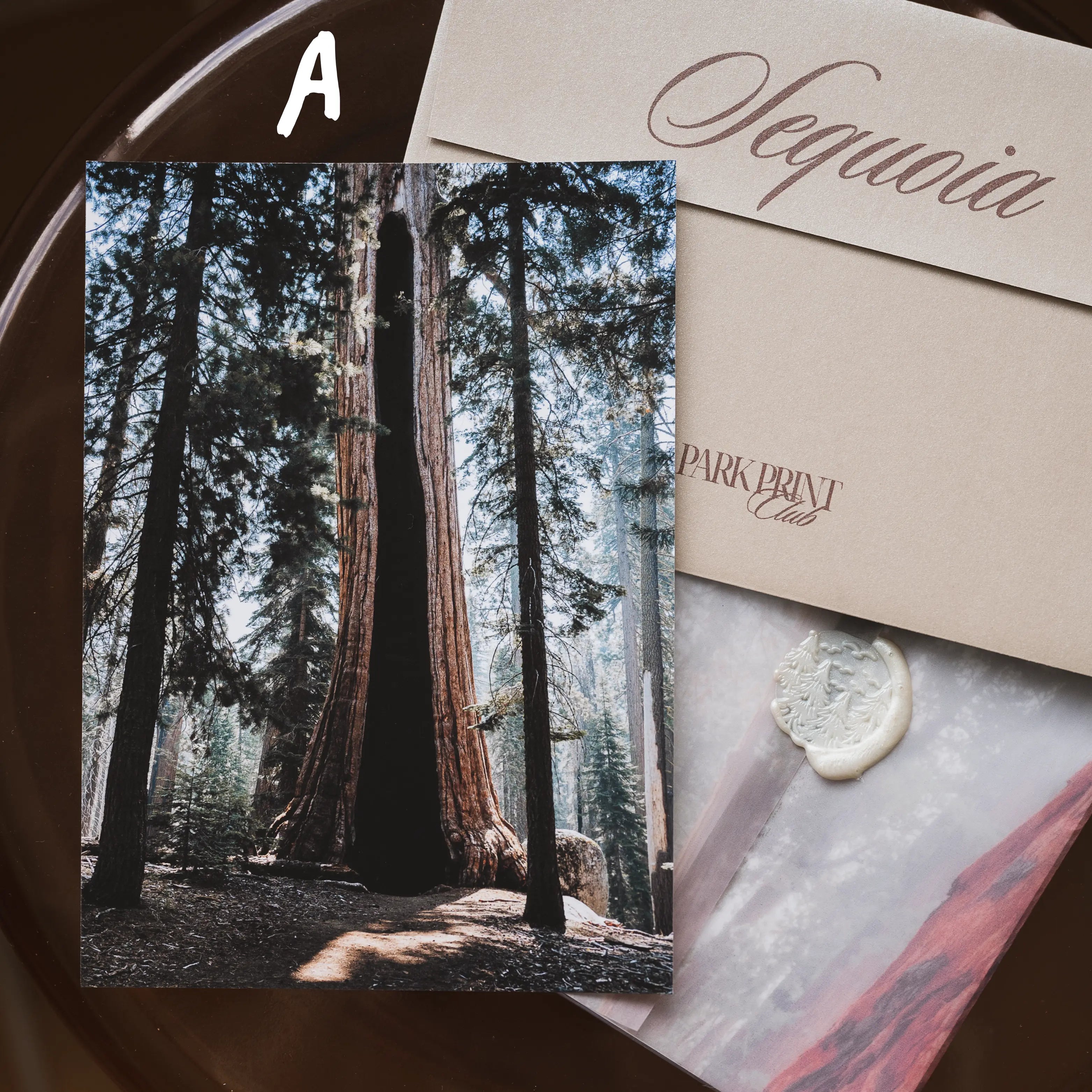Sequoia National Park: March 2026