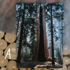 Print Club Membership