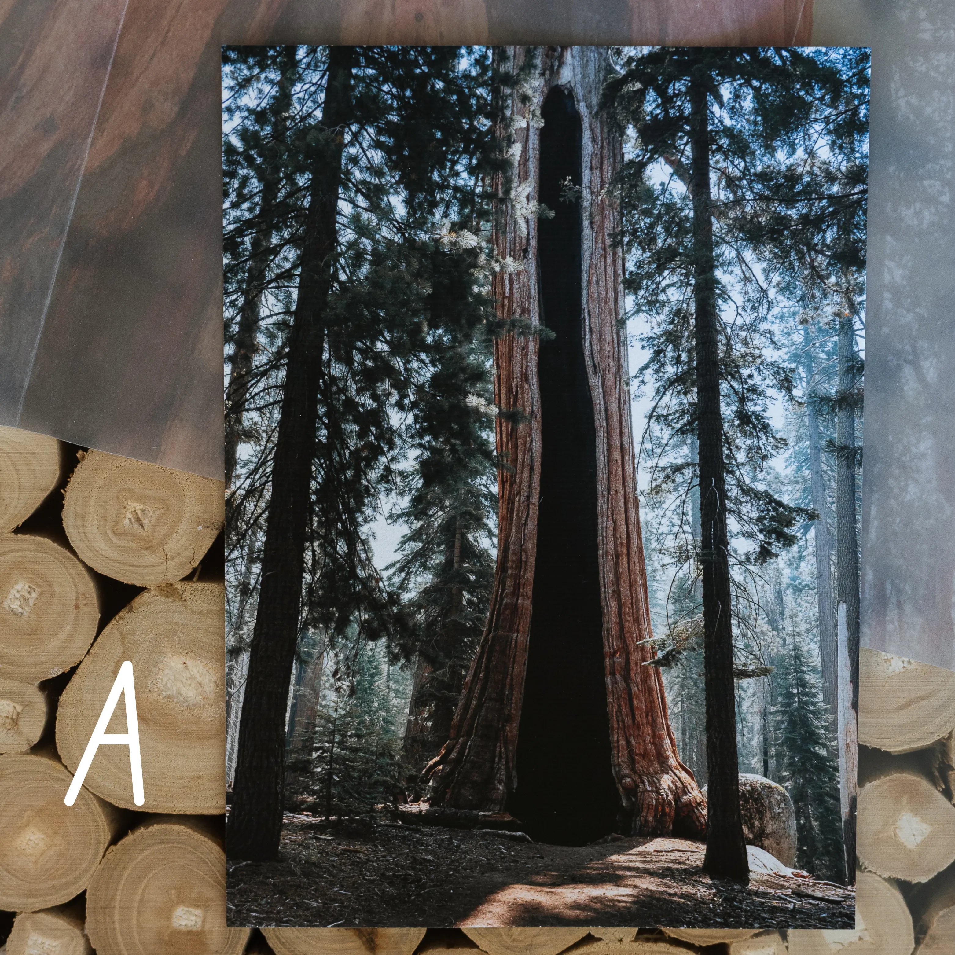 Print Club Membership