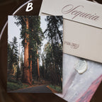 Sequoia National Park: March 2026