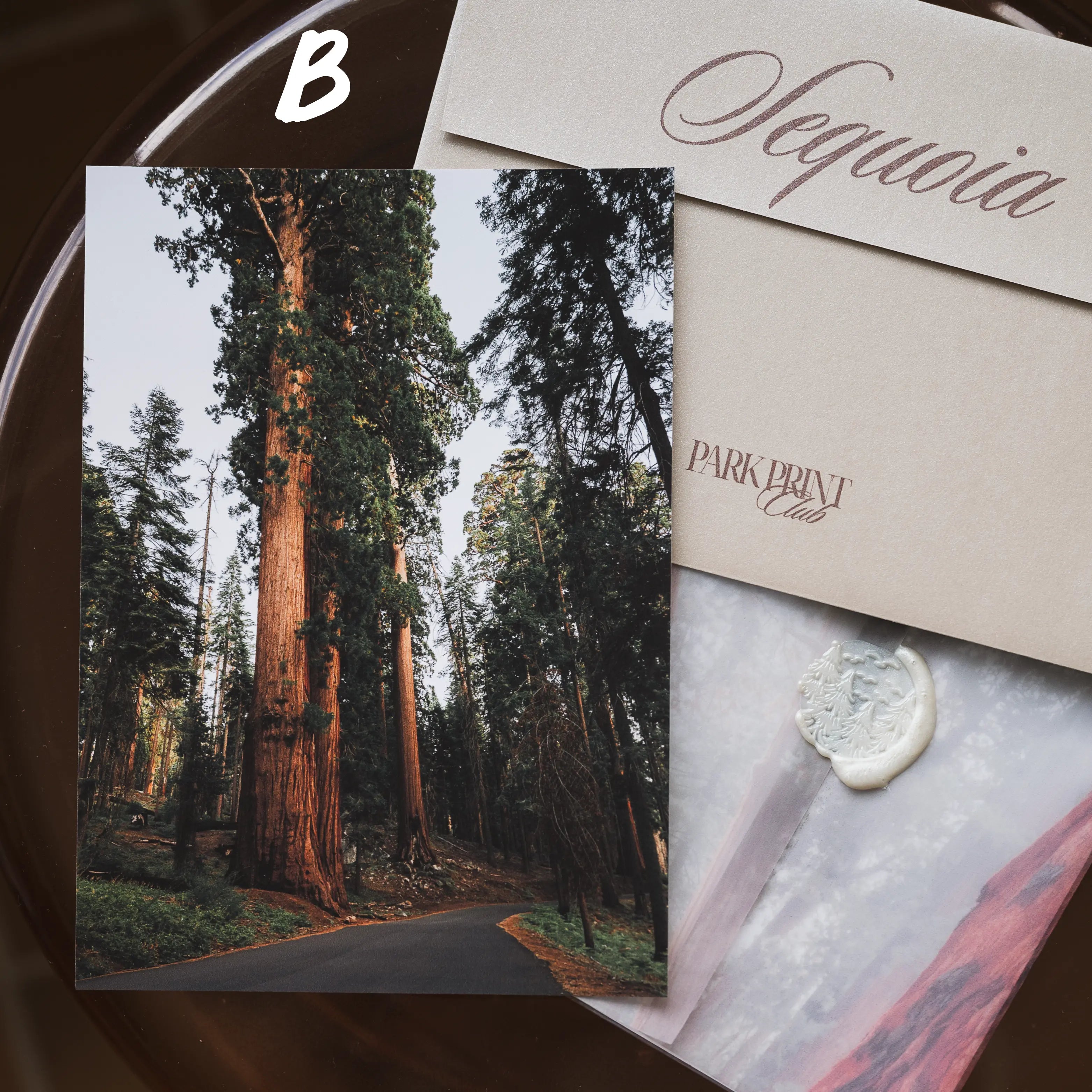 Sequoia National Park: March 2026