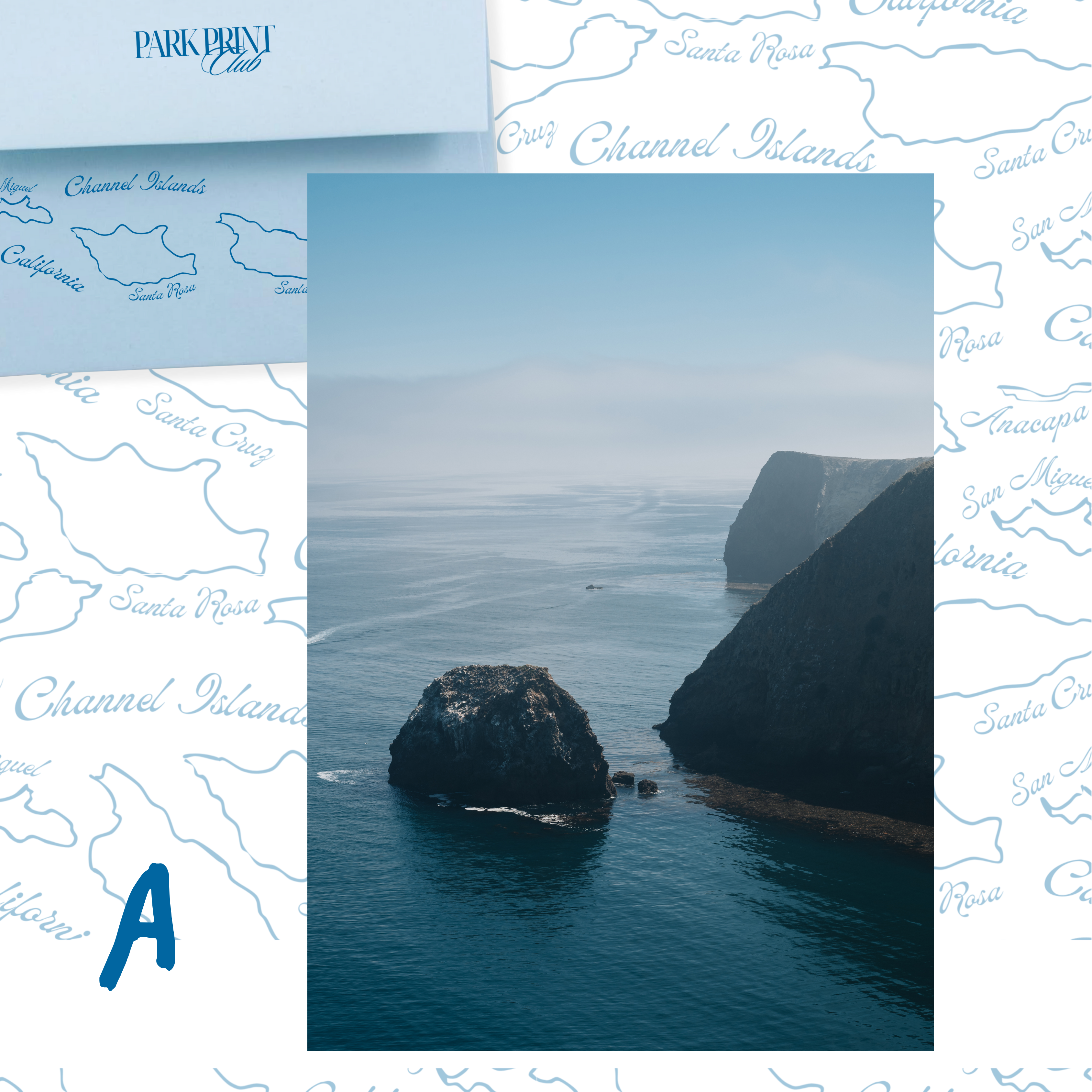 Channel Islands National Park: February 2026