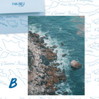 Channel Islands National Park: February 2026