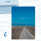 Channel Islands National Park: February 2026