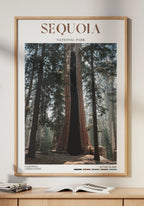 Sequoia National Park Poster