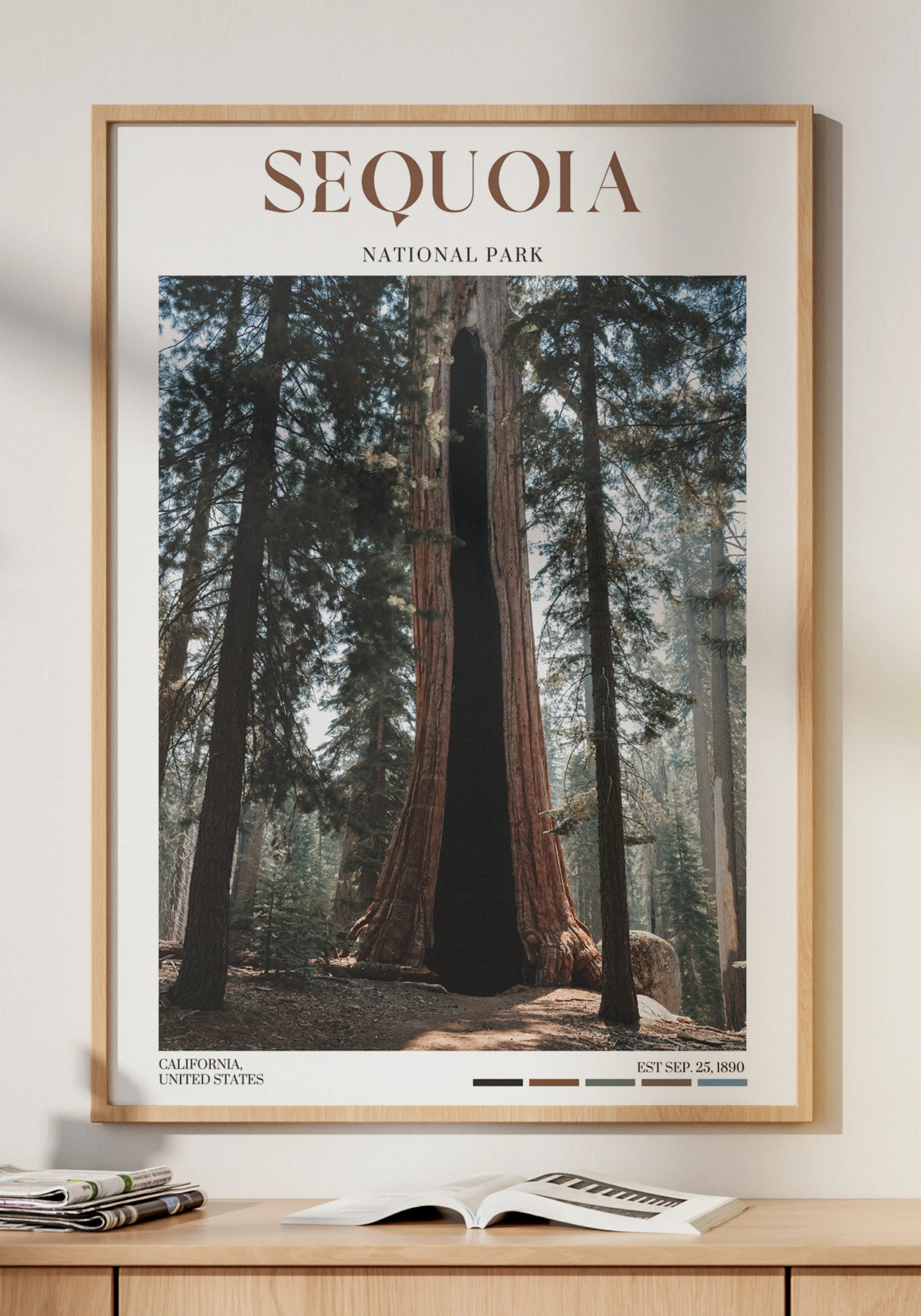 Sequoia National Park Poster
