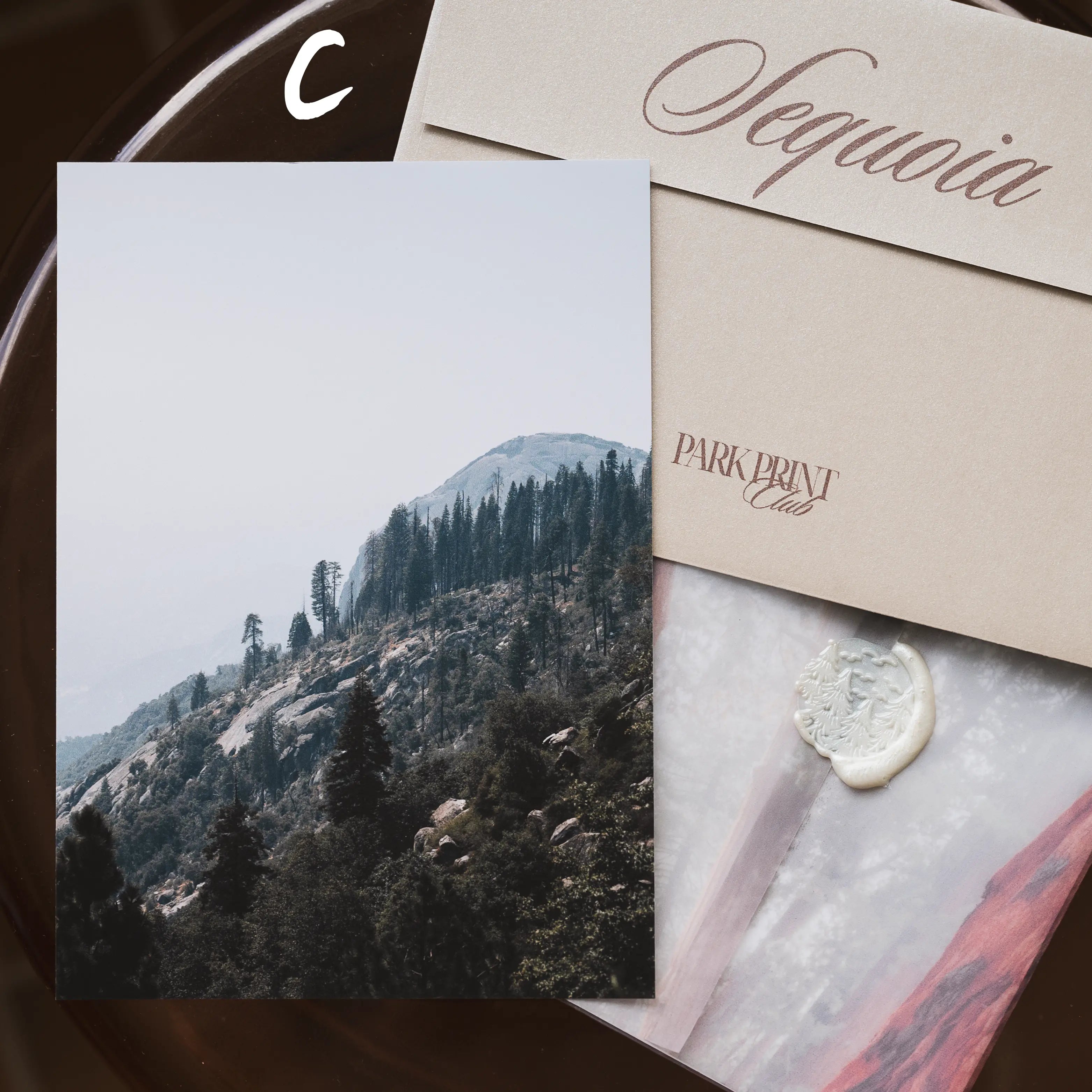 Sequoia National Park: March 2026
