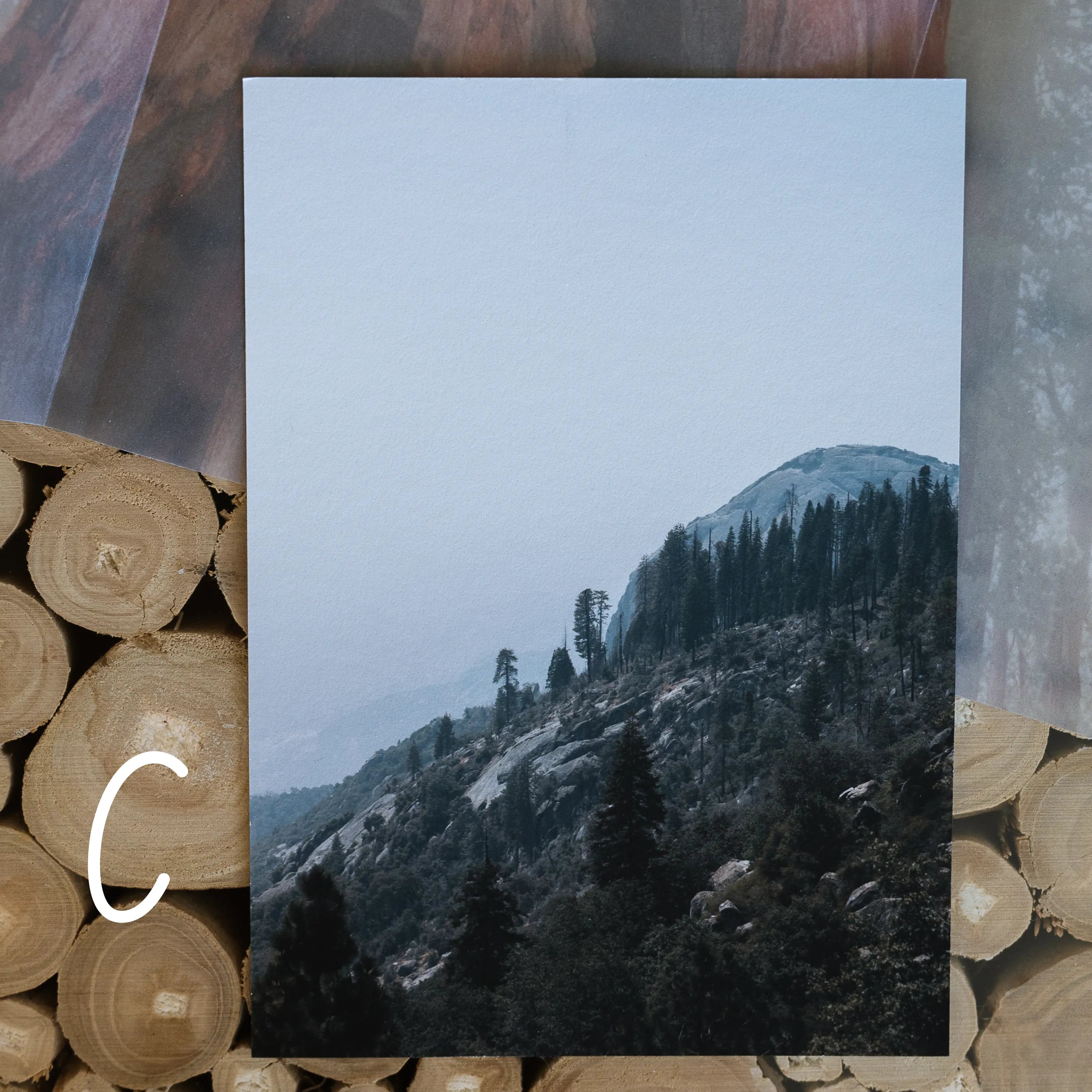 Print Club Membership