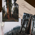 Sequoia National Park: March 2026