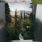 Mount Rainier National Park: April 2026