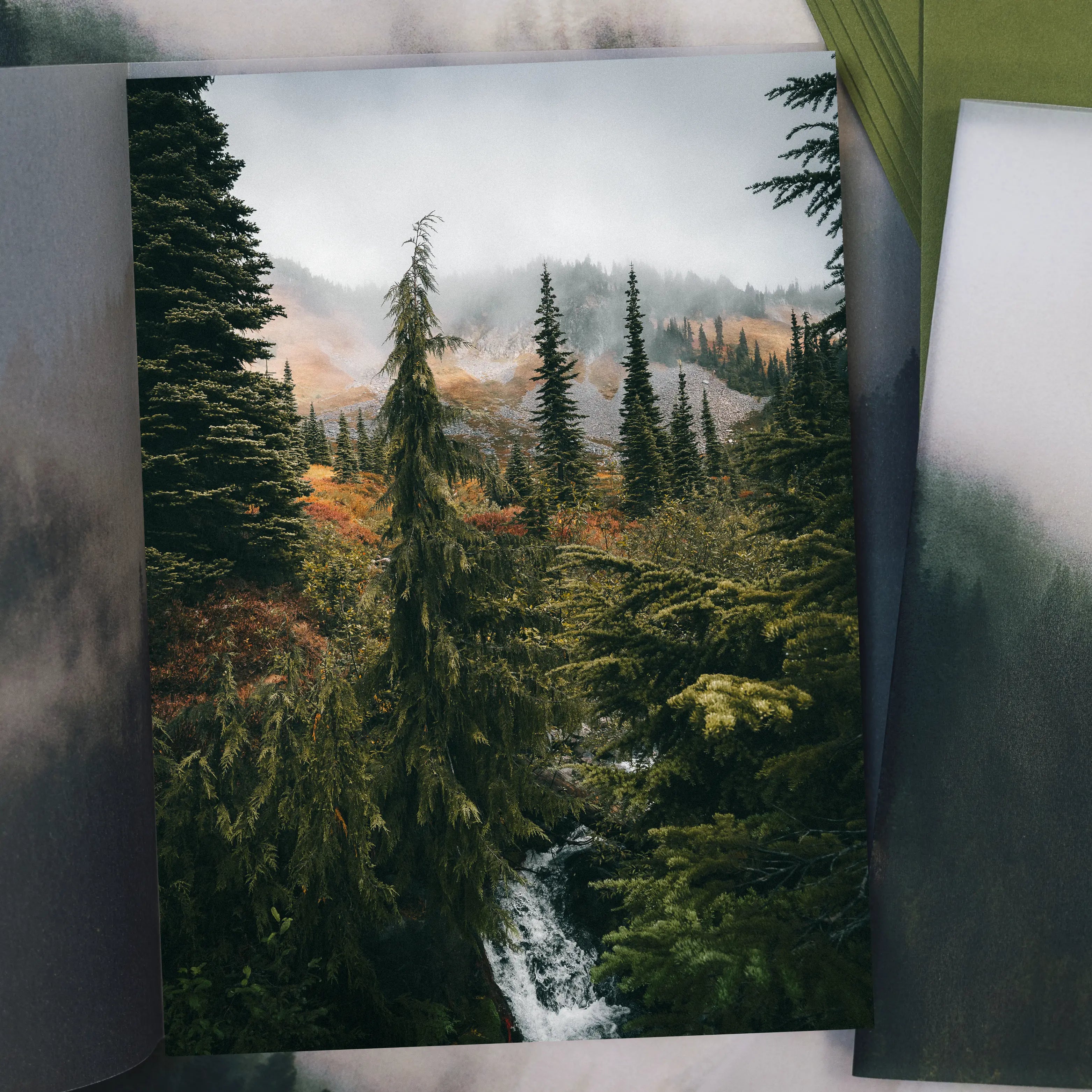 Print Club Membership