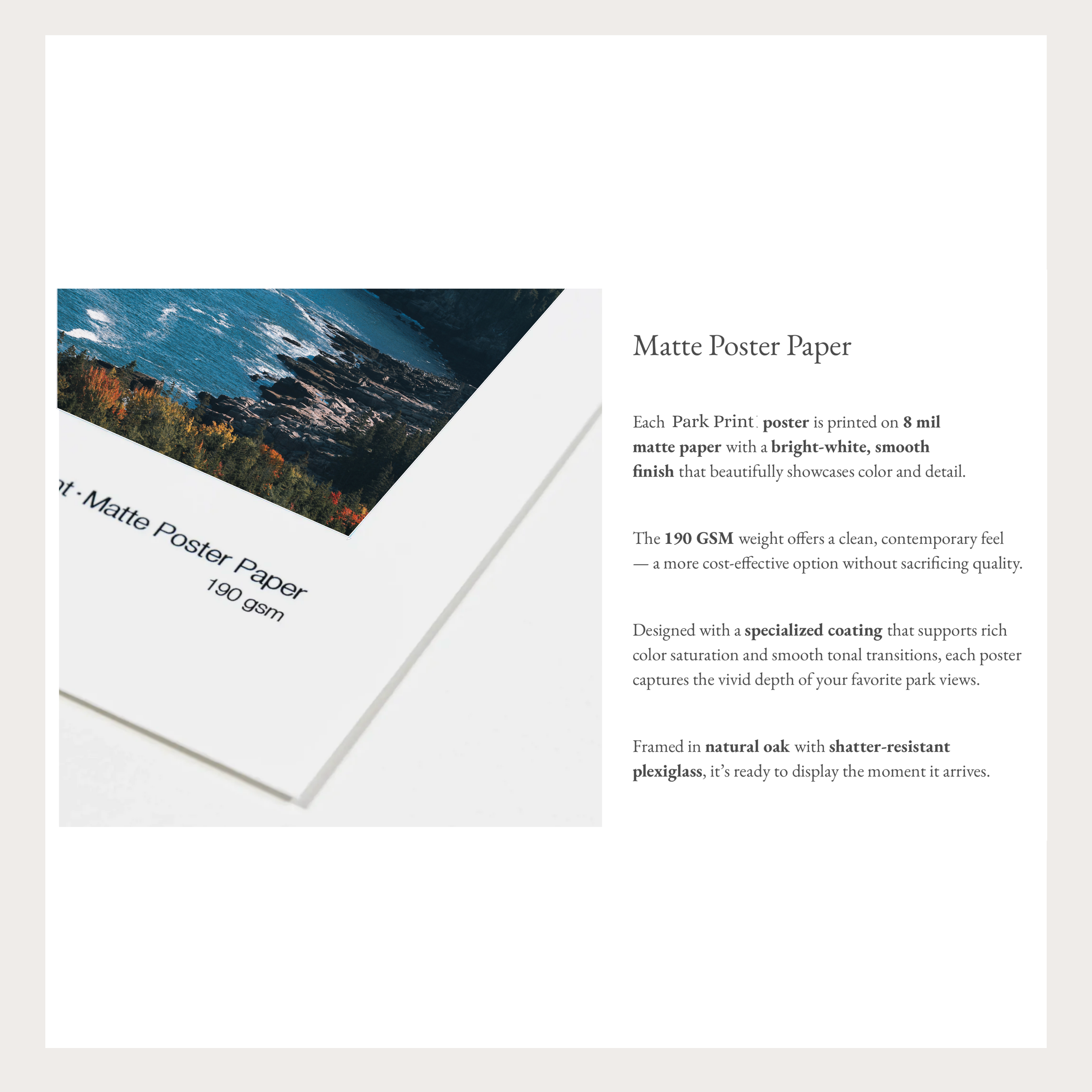 Mount Rainier National Park Poster