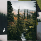 Mount Rainier National Park: April 2026