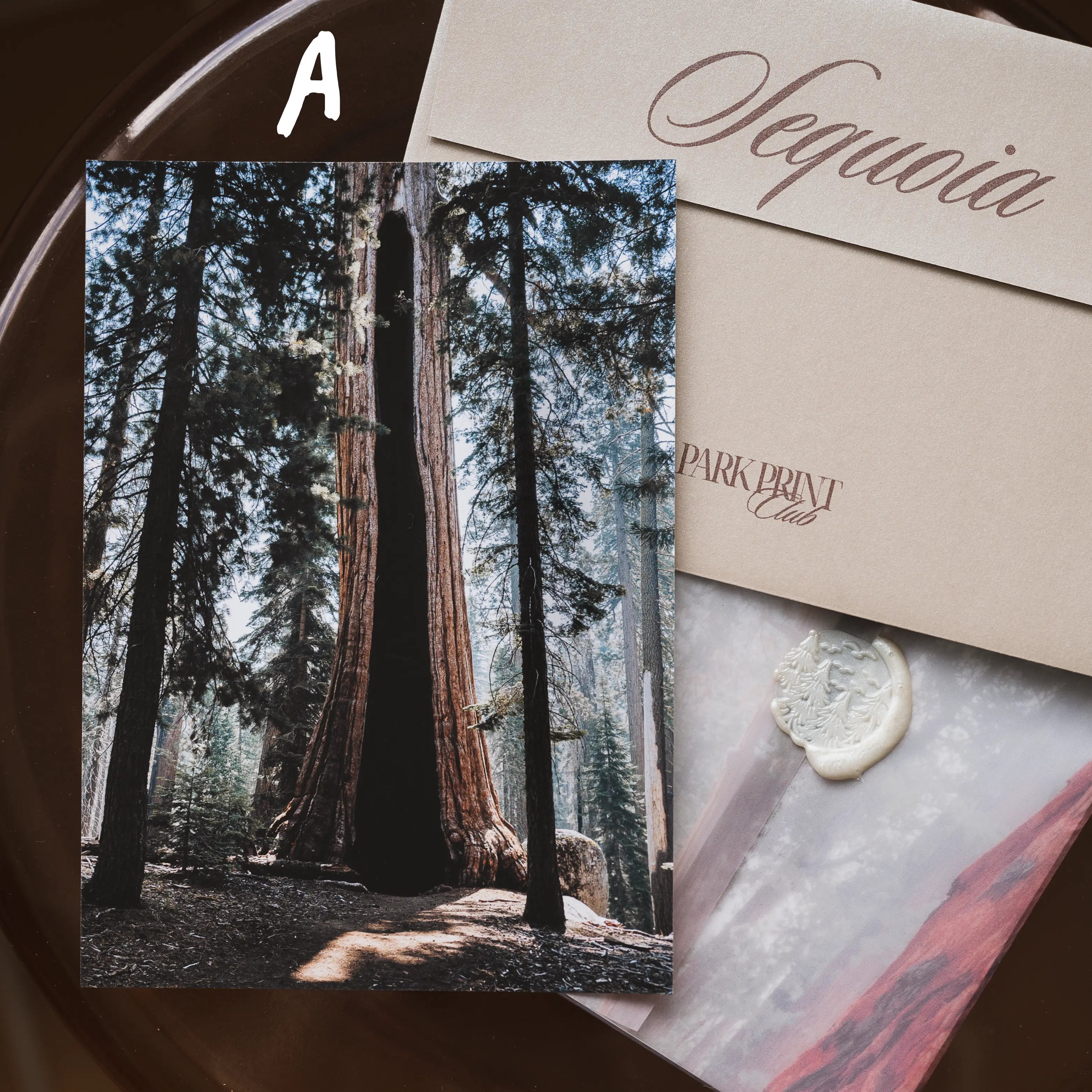 Sequoia National Park: March 2026