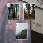 Sequoia National Park: March 2026