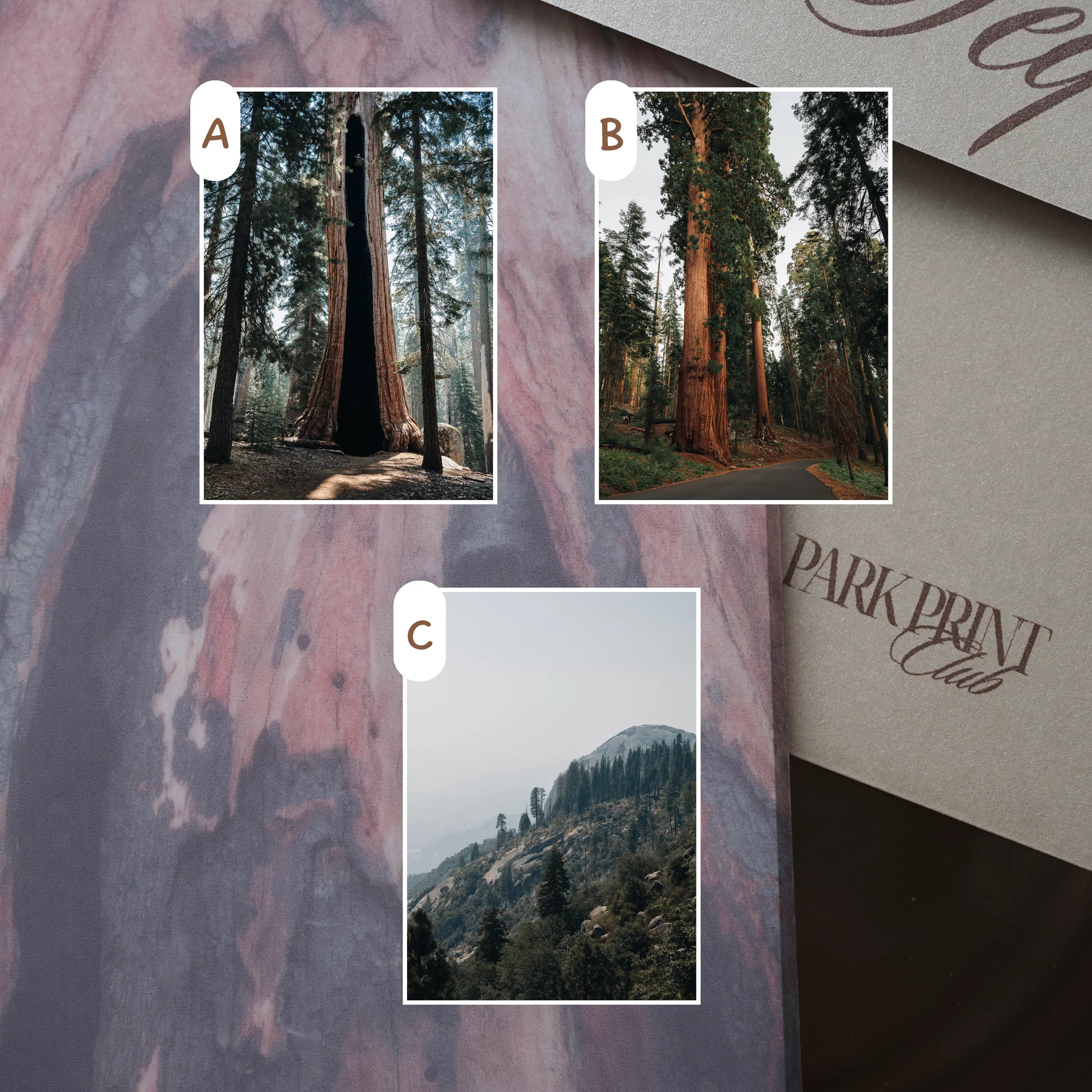 Sequoia National Park: March 2026