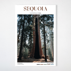 Sequoia National Park Poster