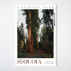 Sequoia National Park Poster