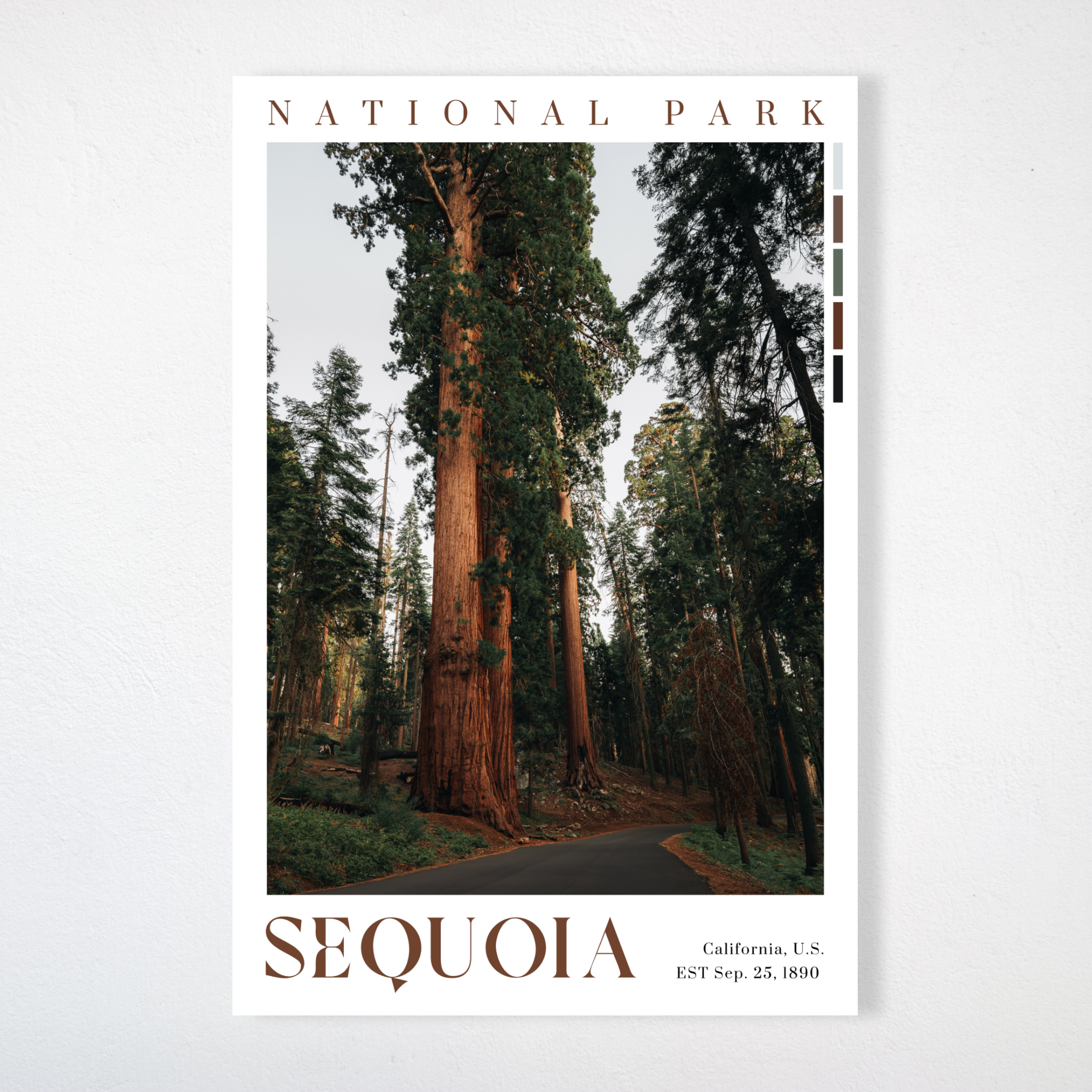 Sequoia National Park Poster