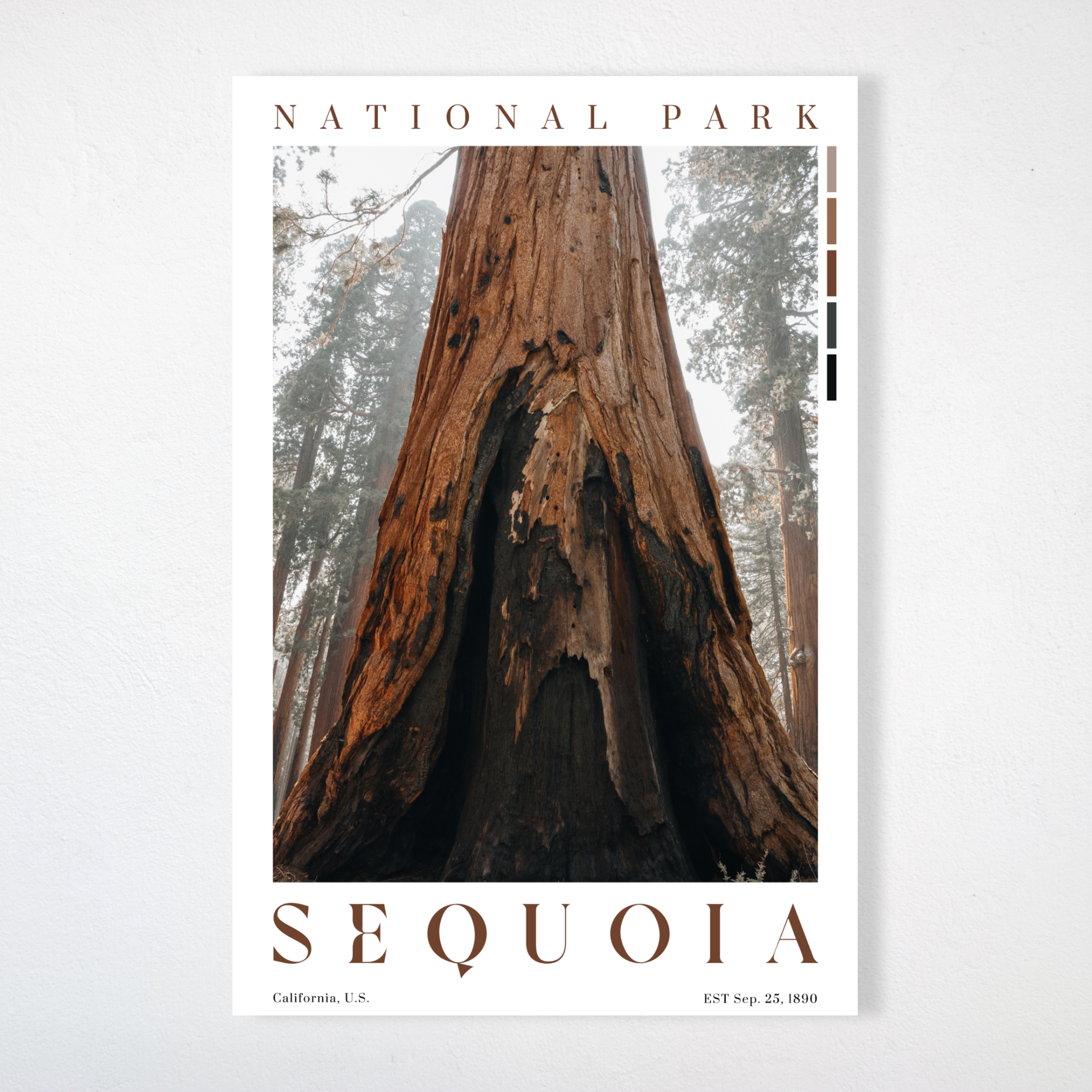 Sequoia National Park Poster