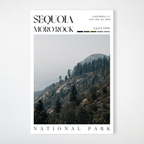Sequoia National Park Poster