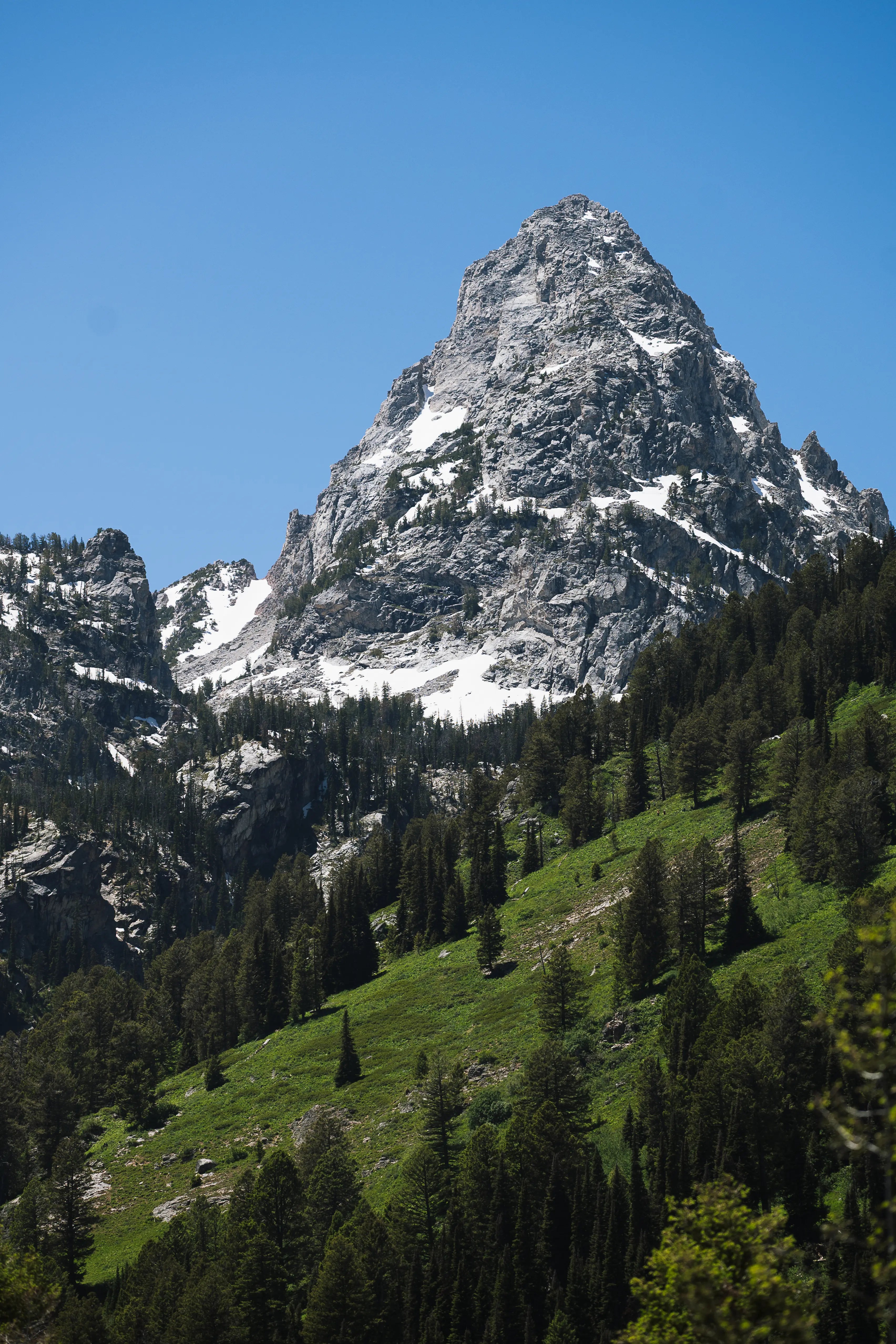 Grand Teton: Evergreen Teton
