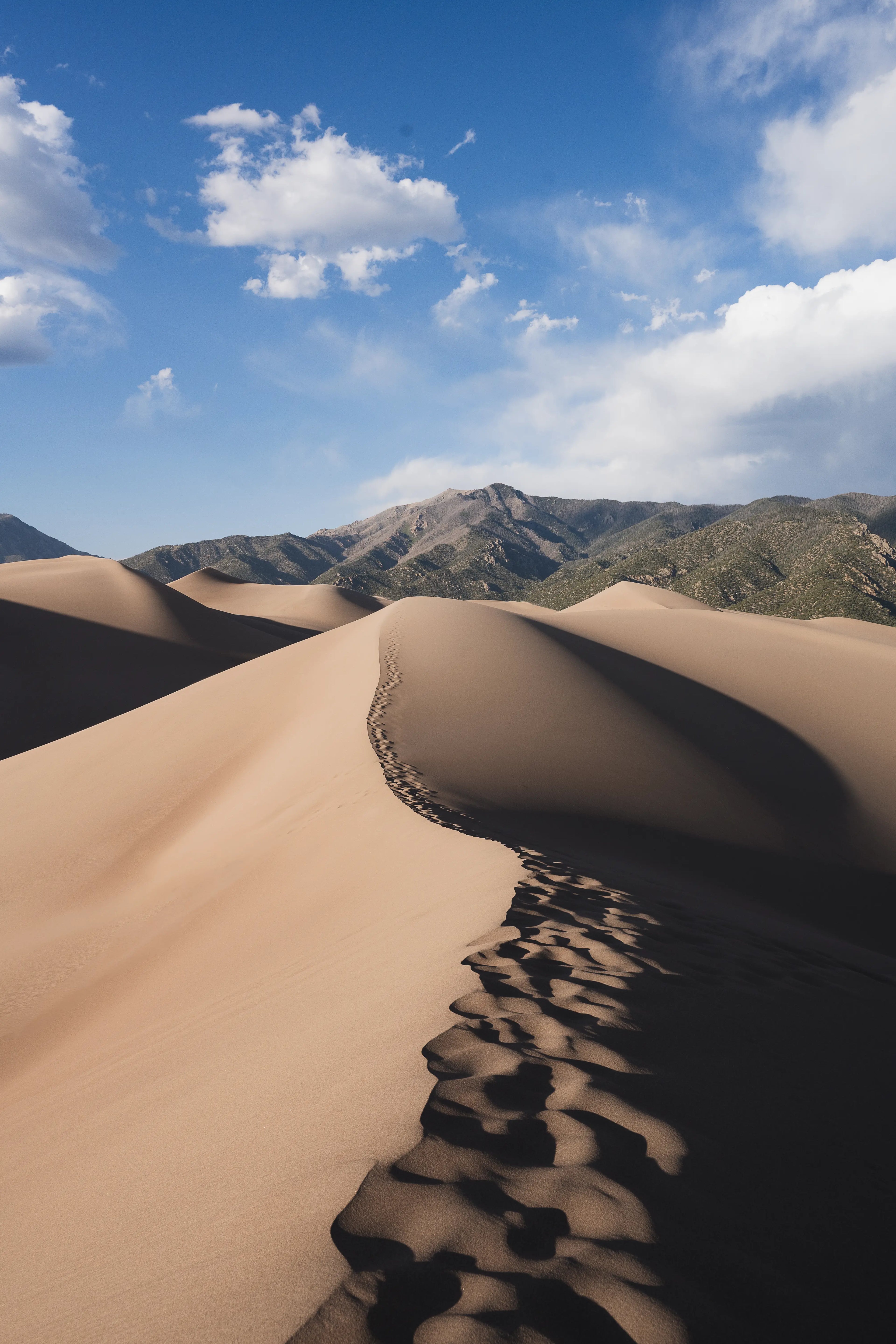 Great Sand Dunes: Mountain Contrast