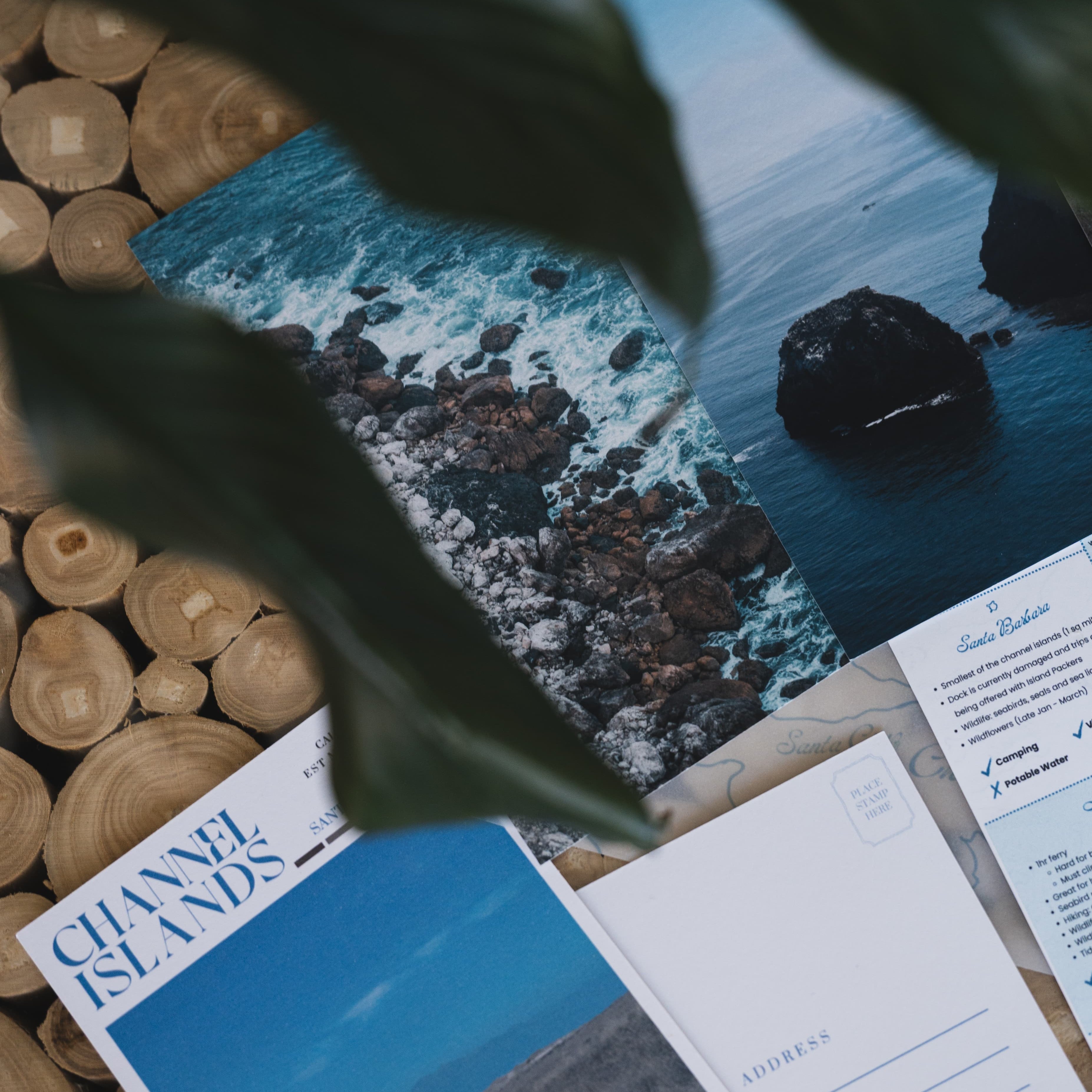 Channel Islands National Park: February 2026