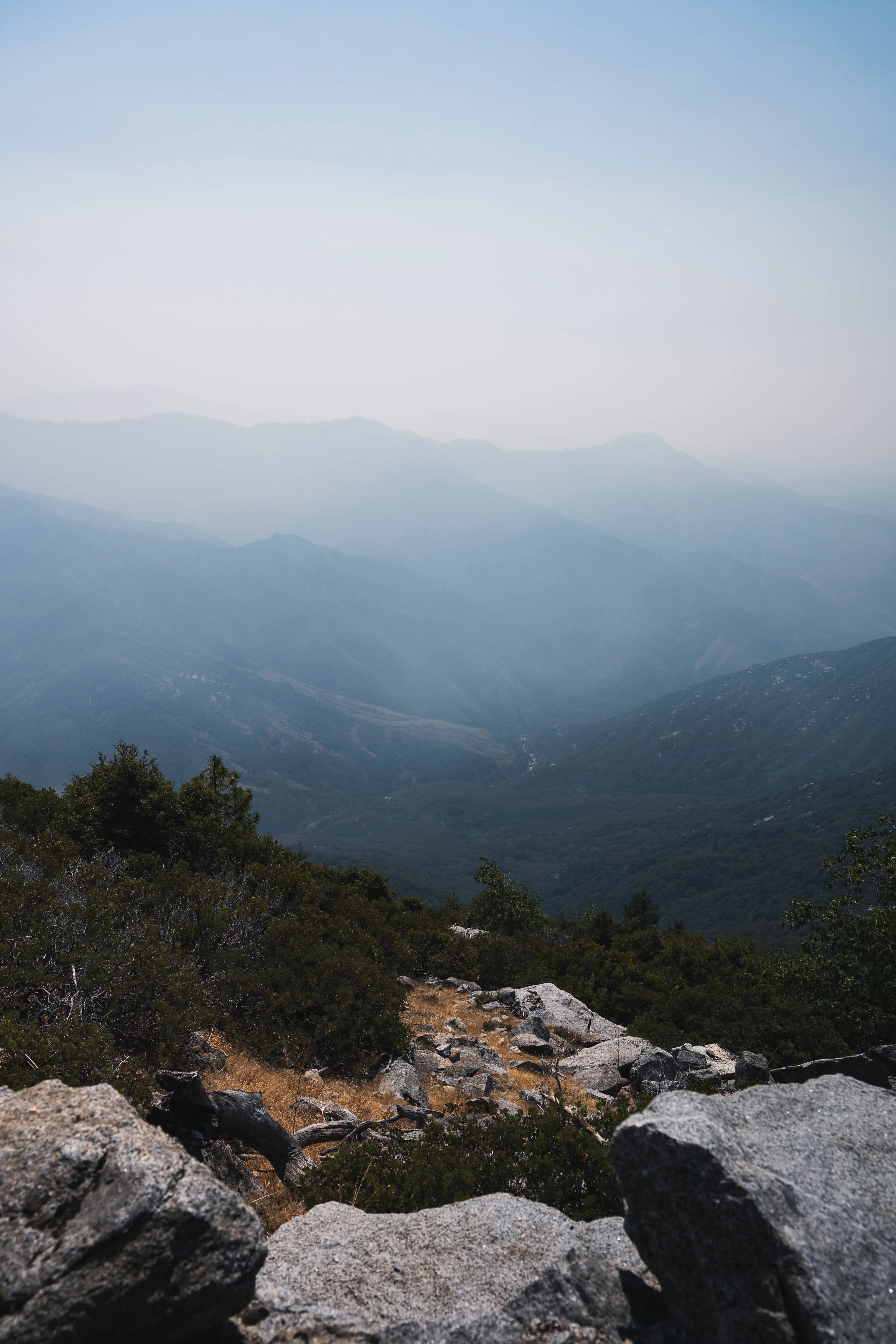 Sequoia: Eagle View