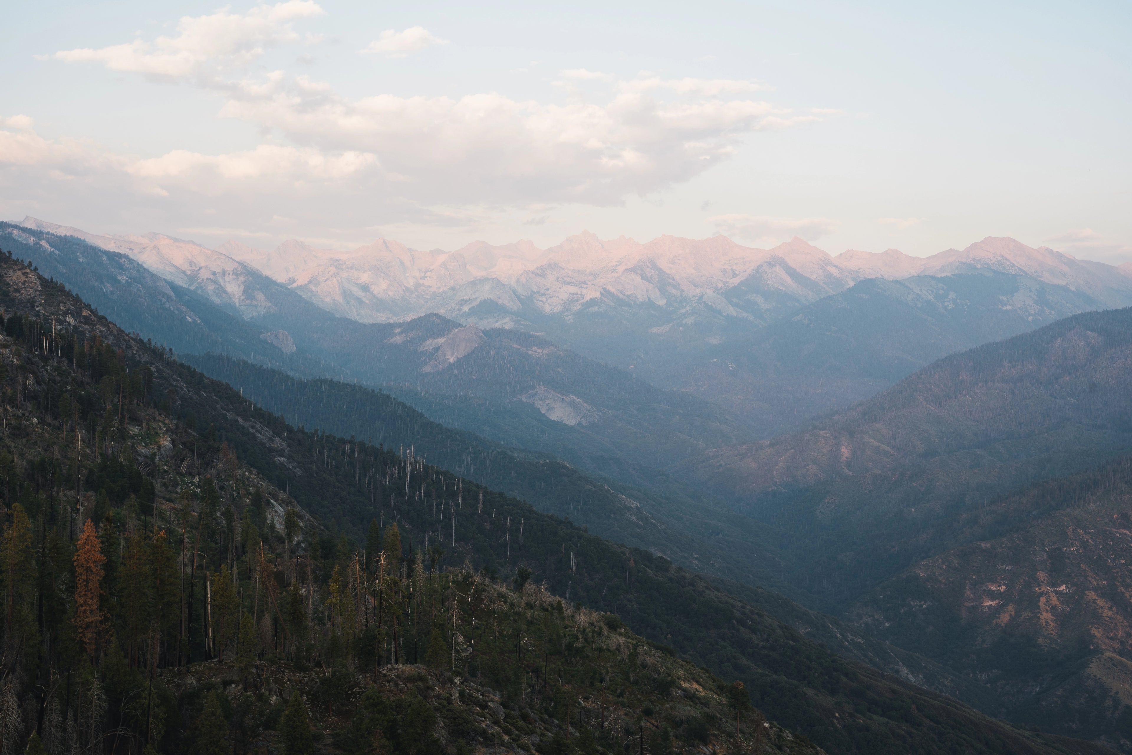 Sequoia: Views From Moro Rock Print