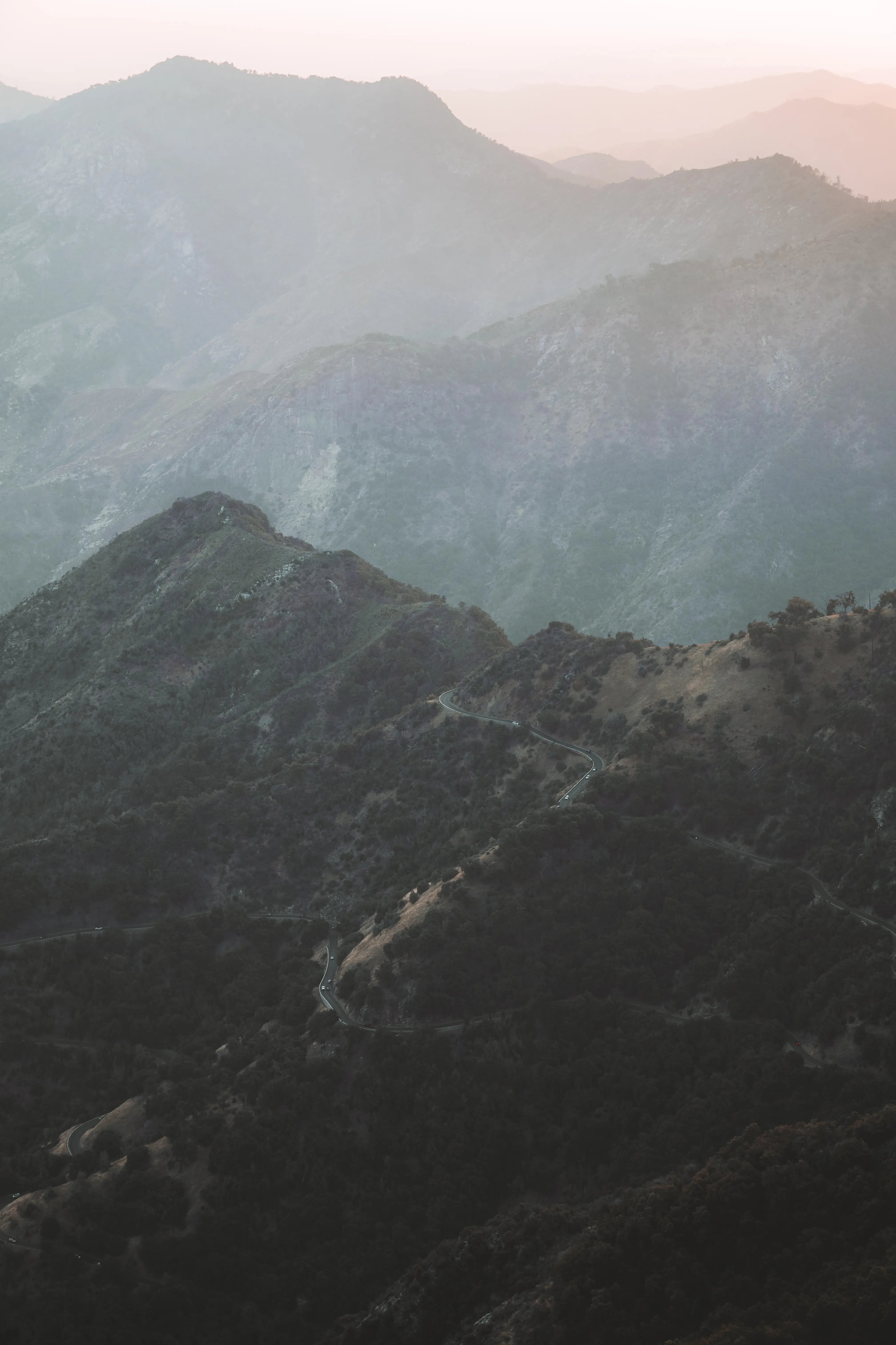 Sequoia: Sequoia Roadway Print
