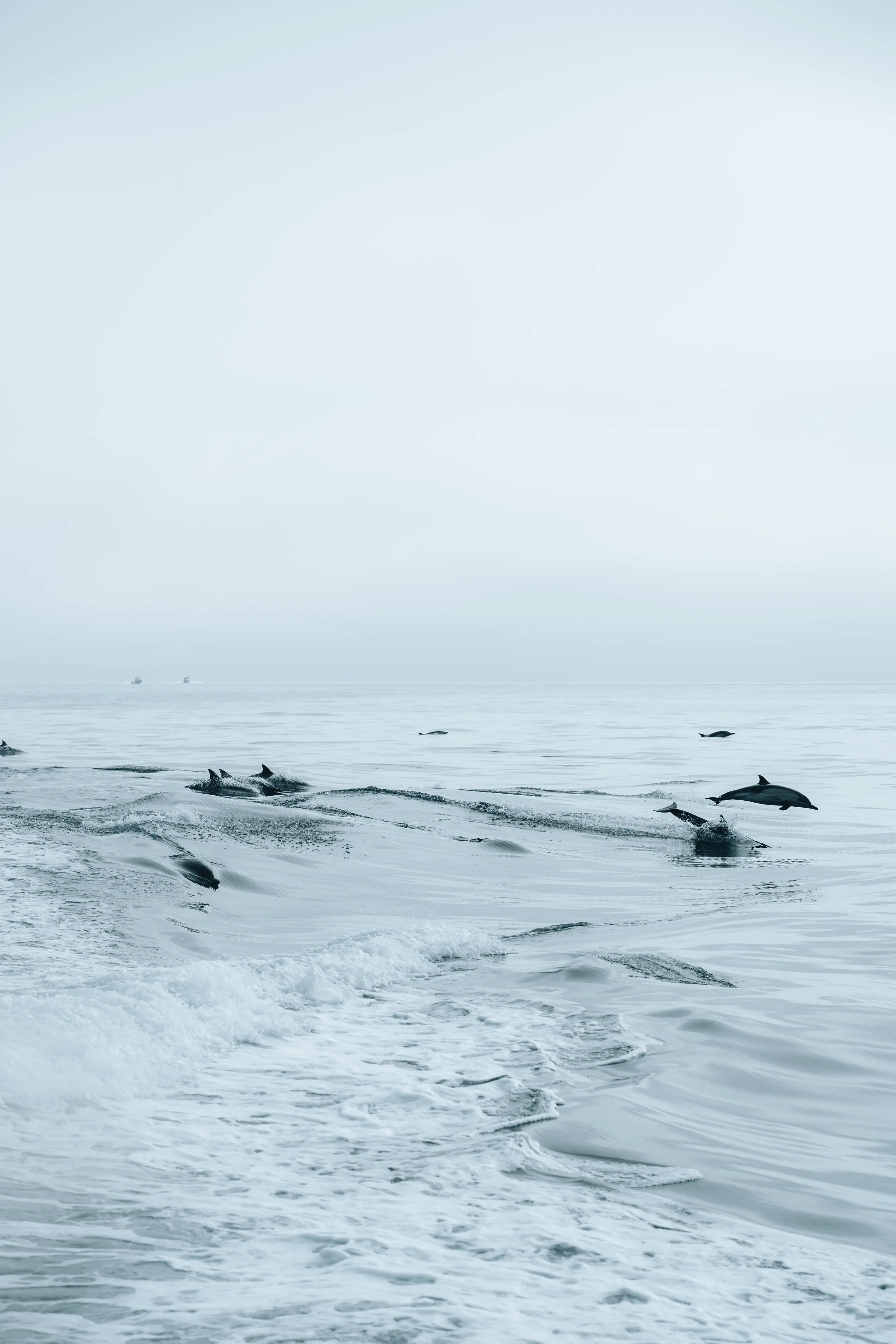 Channel Islands: Mist Dancers Print