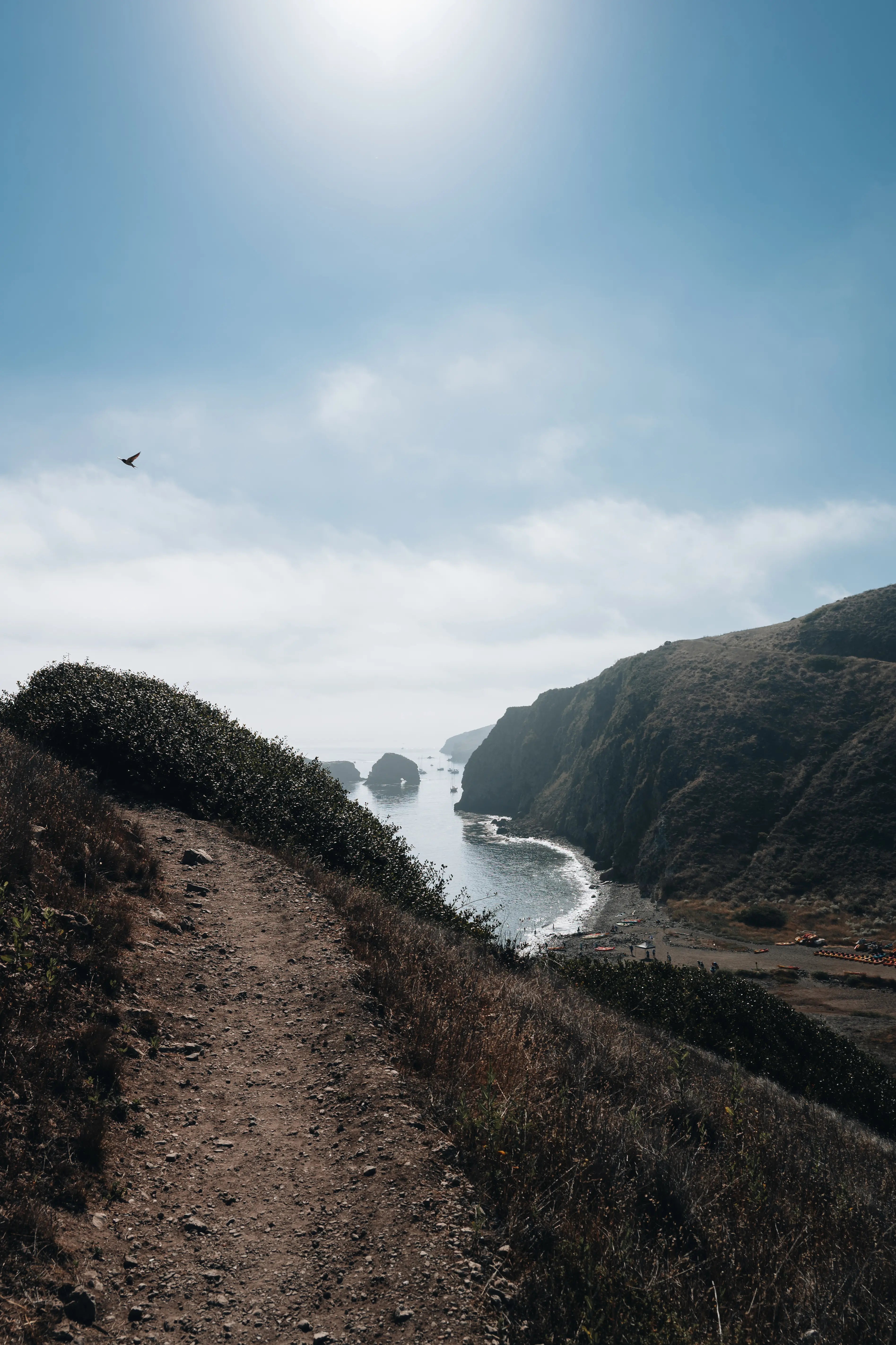 Channel Islands: Shoreline