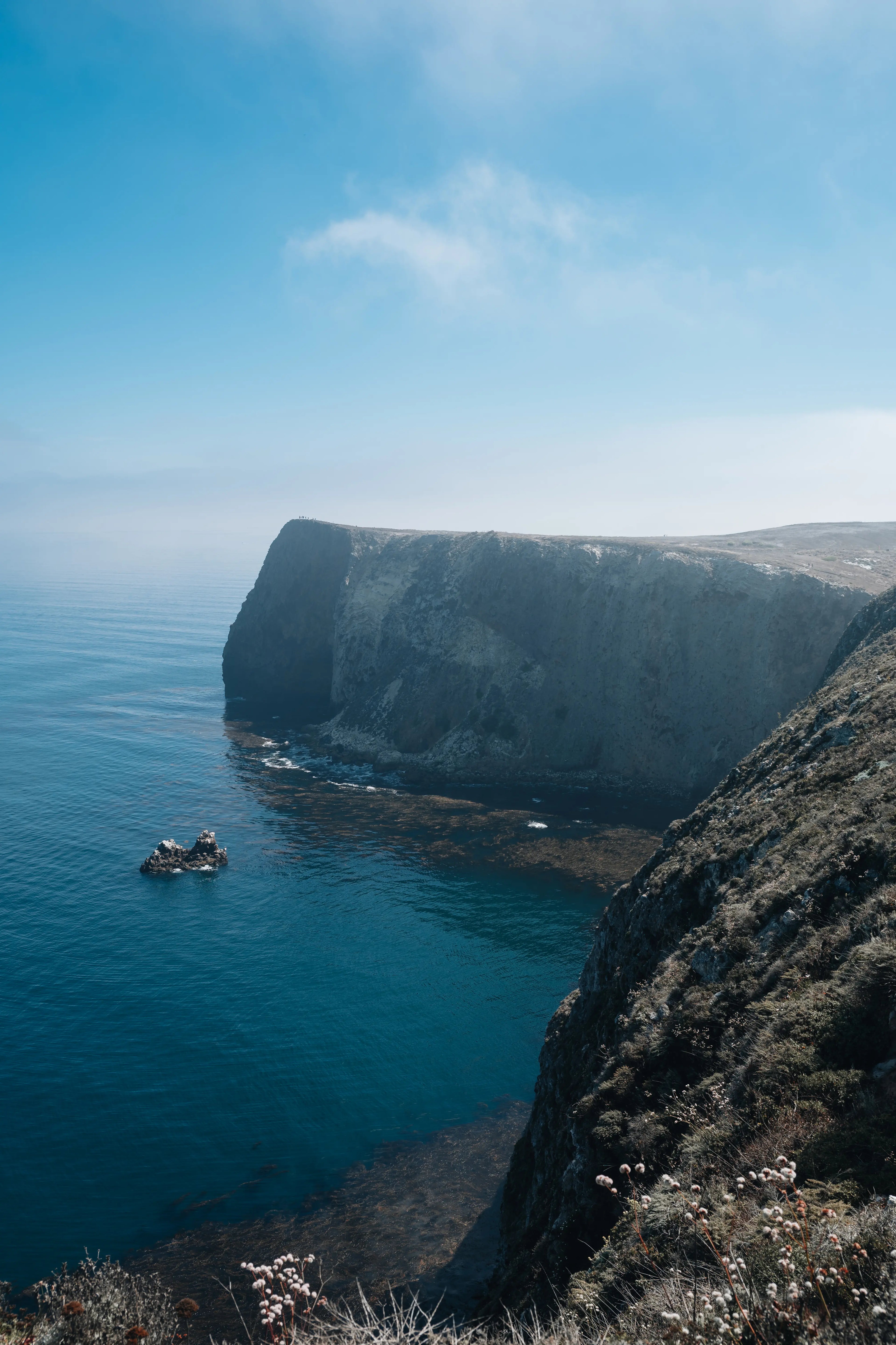 Channel Islands: Cliff View