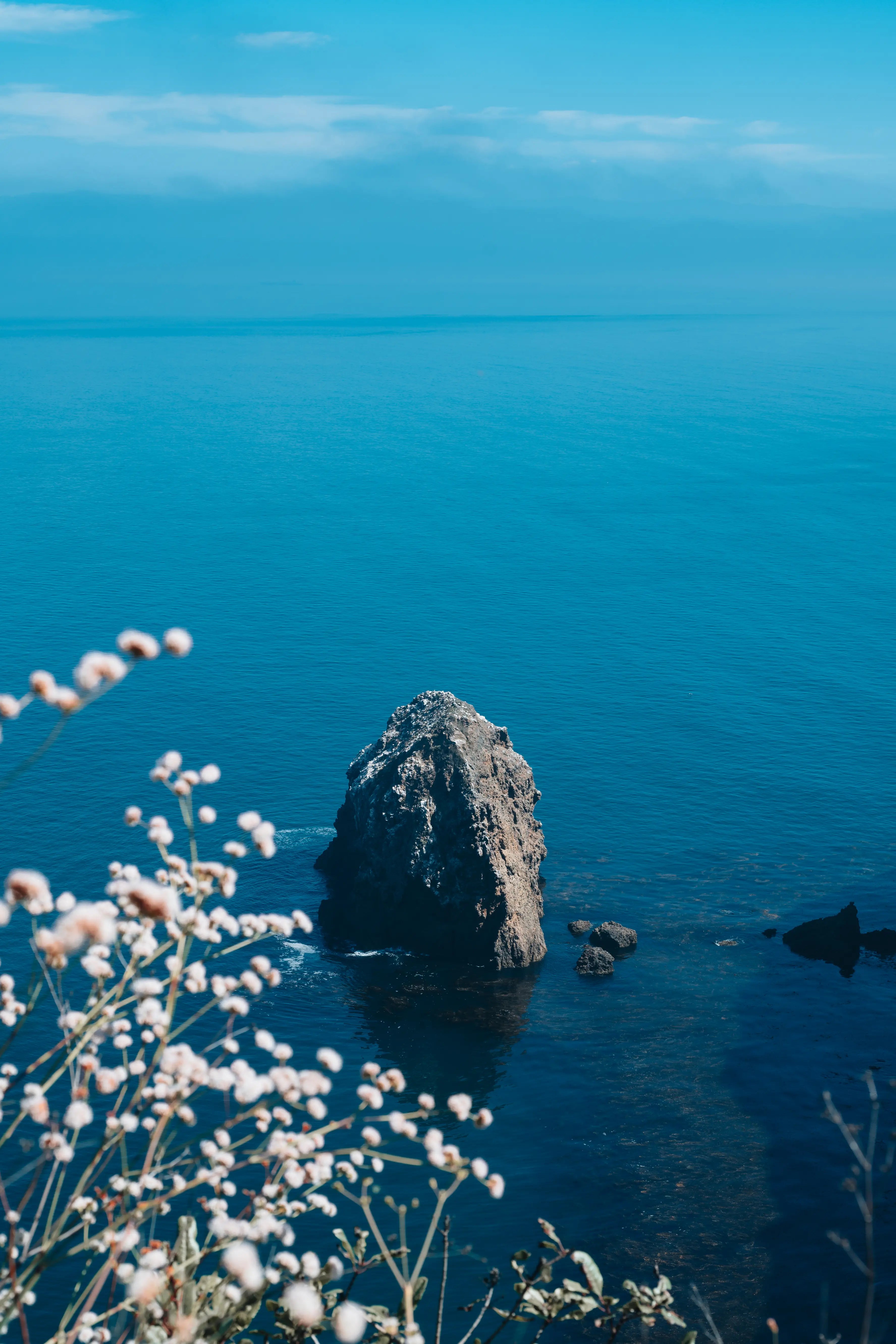 Channel Islands: Floral Cliff