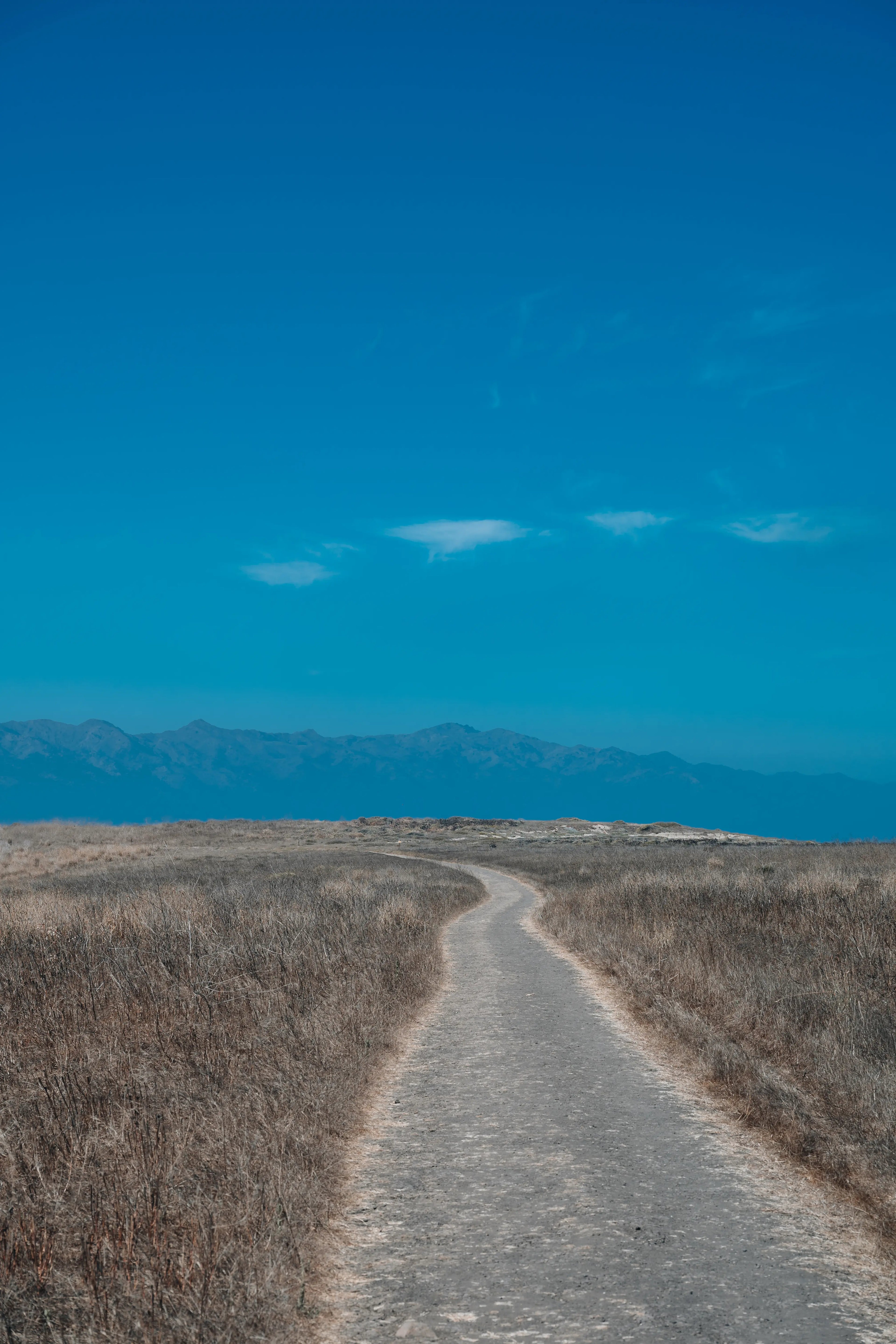 Channel Islands: Path Print