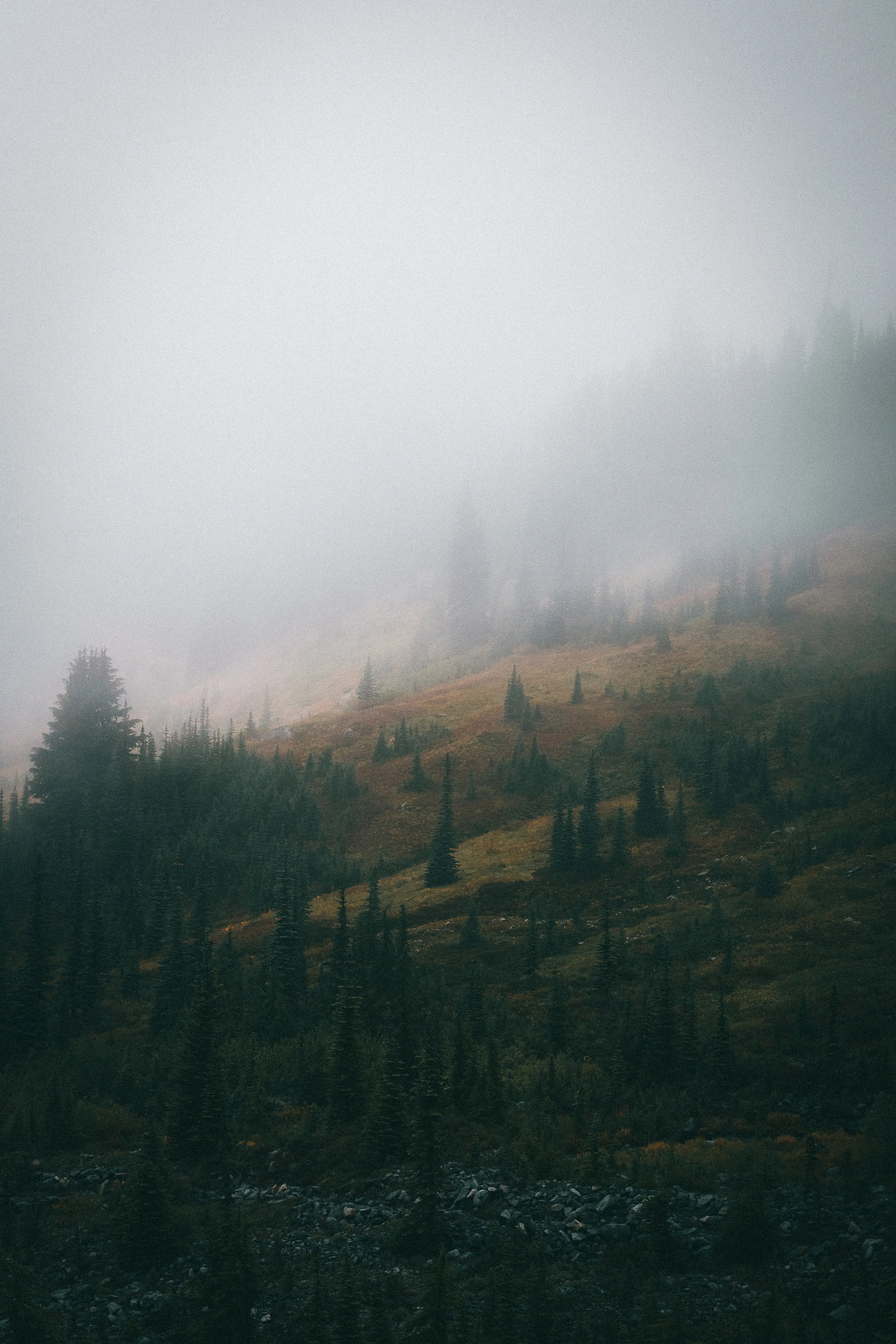 Mount Rainier: Echoes in the Mist Print