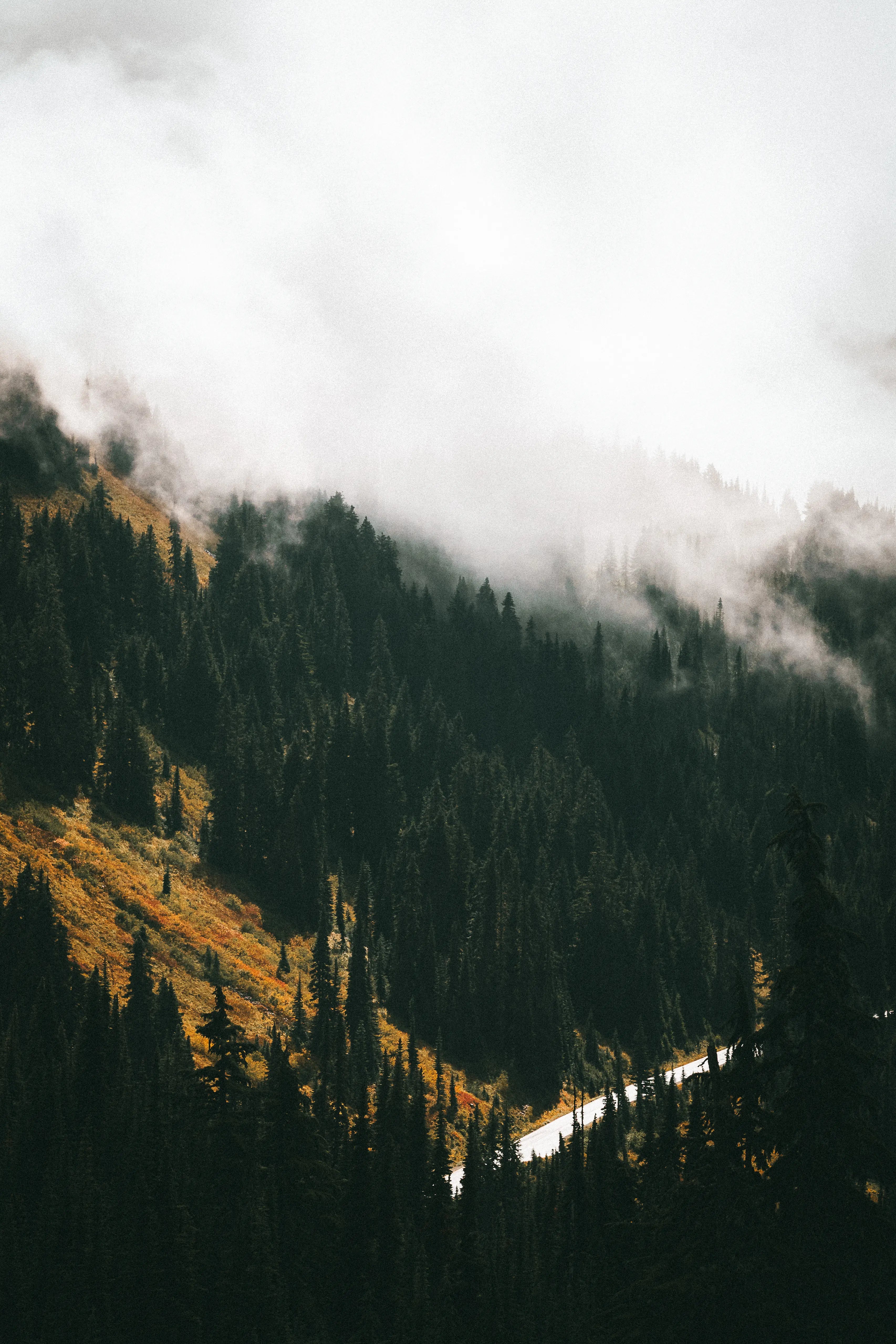 Mount Rainier: Where the Clouds Rest Print