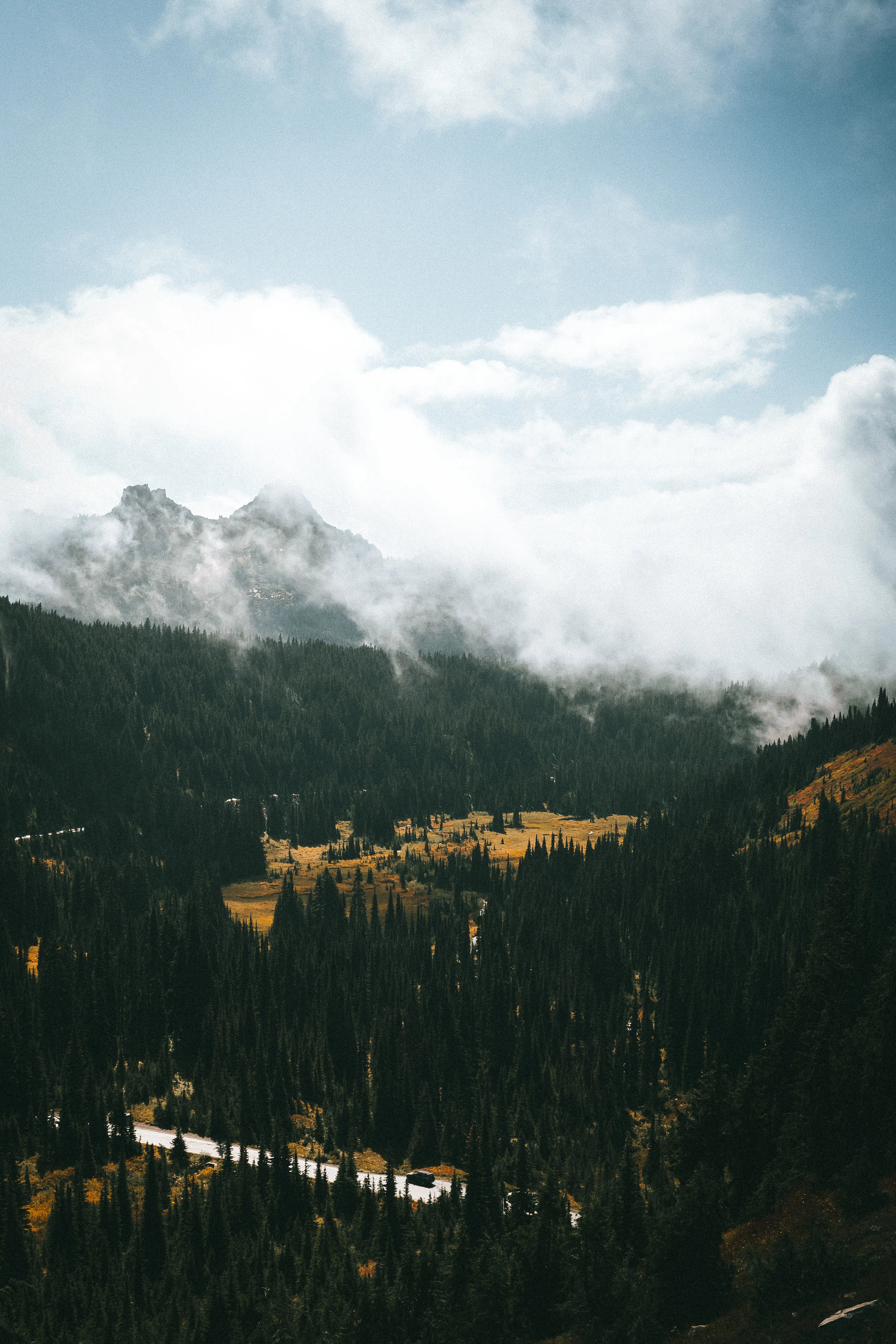 Mount Rainier: Veil of Morning Print